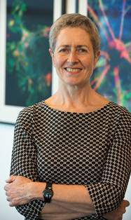 Professor Anne Kelso